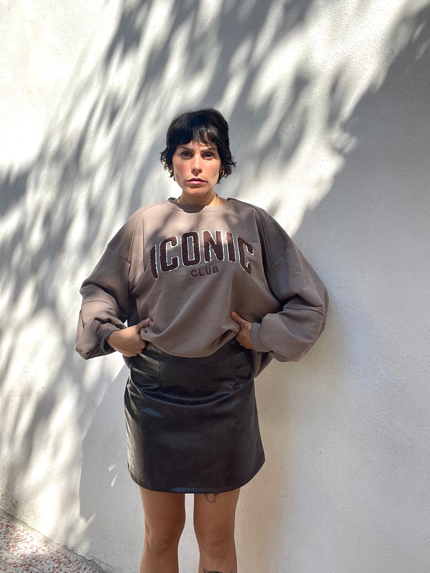 Felpa Iconic Marrone