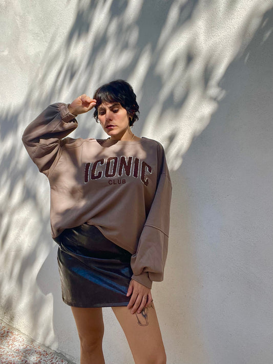 Felpa Iconic Marrone